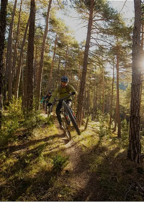 Cicliști pe e-bike printr-o pădure însorită